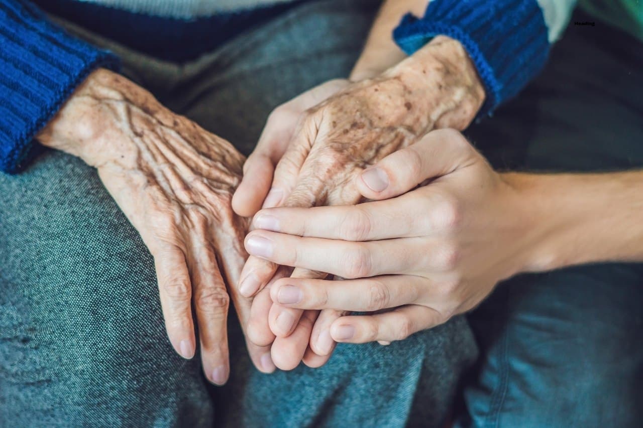 Aged Care Support at Home Package